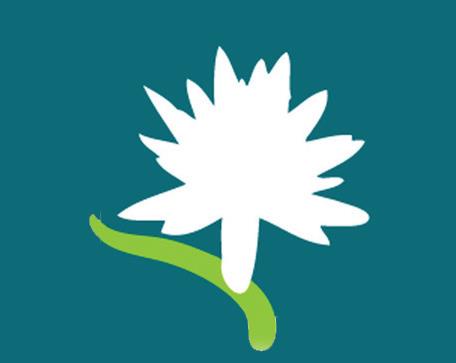 community foundation